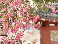-乌山风景区