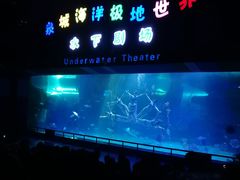 -泉城欧乐堡海洋极地世界