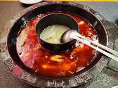 精品烧鸡公-重庆烧鸡公火锅(簋街店)