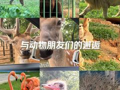 -秦皇岛野生动物园