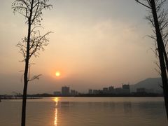 -飞来湖湿地公园