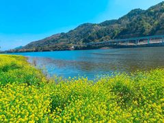 -新安江山水画廊风景区