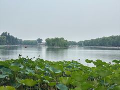 -什刹海