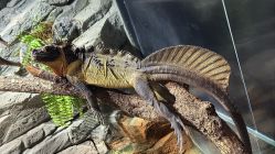 -Zoolung Zoolung动物主题公园(海信广场店)