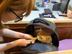 -宠爱国际动物医院·消化内科·心肾内科·ISFM猫友好(望京店)