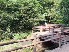 -赤水丹霞旅游区·佛光岩