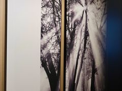 -新加坡乌节希尔顿酒店 (SG Clean)