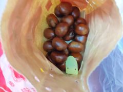 -二斗栗子(西湖道店)