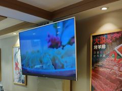 -添福来墨鱼饺子 · 海鲜东北菜(泡崖店)