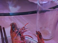-福临门酒店·海鲜·家常菜·浑锅