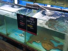 水产区-船梆煮•蒸汽海鲜·炉火烤肉(五四广场店)