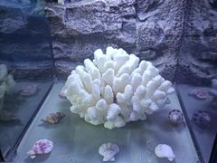 -邯郸海洋世界