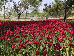 -廊坊文化艺术中心