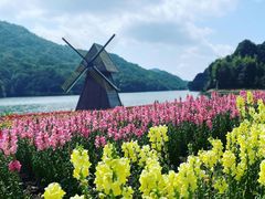 -广州市石门国家森林公园