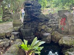 -海口火山口国家地质公园