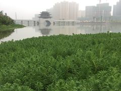 -大小河街