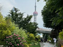 -东方明珠广播电视塔