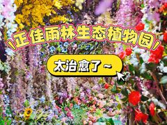 -正佳雨林生态植物园