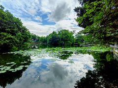 -荔湾湖公园