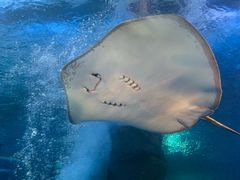 -太平洋海底世界