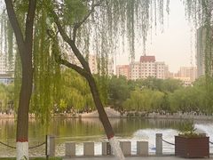 -文瀛公园