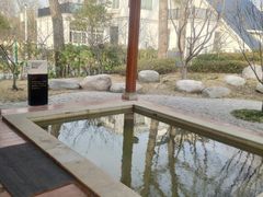 -思念果岭悦温泉