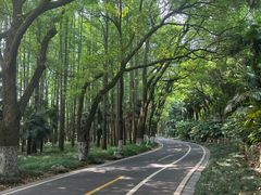 -采石矶景区