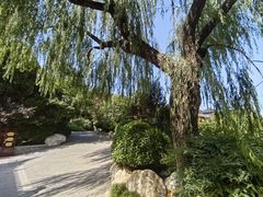 -华清宫景区