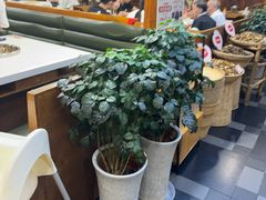 -土连锅·现熬养生汤锅(梁家巷店)
