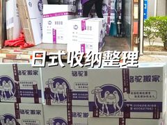 -骆驼日式搬家收纳整理