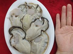 -花苑美食横琴生蚝火锅(拱北粤华路店)