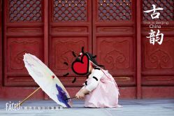 -小熊饼干专业儿童摄影