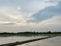 -嘉北郊野公园