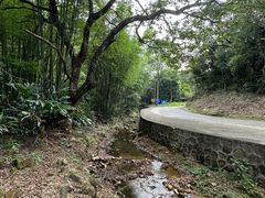 -佛山市三水区大南山森林公园