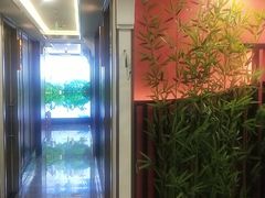 -洞庭家宴·头牌甲鱼(广渠门店)