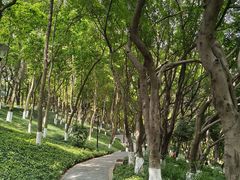 -龙头寺公园