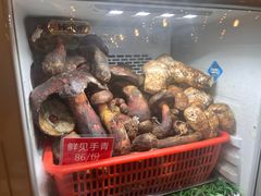 -太婆天府山珍酒楼(亚运村店)