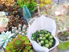 -三旗百汇商品城