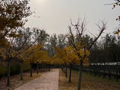 -秦皇岛野生动物园