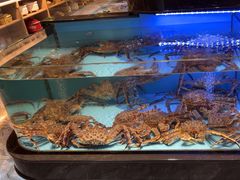 -阿伟海鲜楼·福建菜(延寿店)