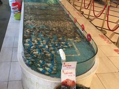 -香融府·烤鸭·家常菜(马家堡路店)