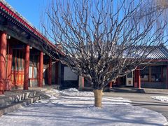 -宫事颐庭·老佛爷贵寿下午茶(颐和园店)