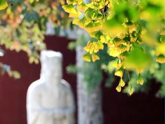 -北京石刻艺术博物馆(五塔寺)