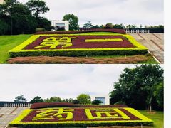 -广西壮族自治区药用植物园