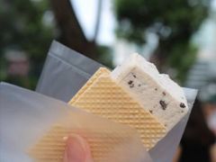 -詹爷爷乌节路街头冰淇淋