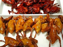 -鸽子窝(青塔店)