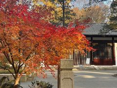 -灵谷景区