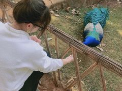 -昆明动物园