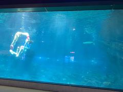 -福州罗源湾海洋世界旅游区