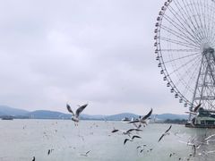 -蠡湖大桥公园
